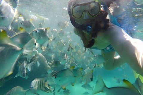 2-Day Moreton Island 4WD Camping Tour From Brisbane - Accommodation Coffs Harbour 0