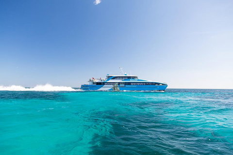 Fremantle To Rottnest Island Roundtrip Ferry Ticket - Accommodation Coffs Harbour 0