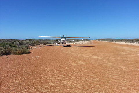 Abrolhos Islands Scenic Flight & Snorkel Adventure From Perth - Accommodation Coffs Harbour 3
