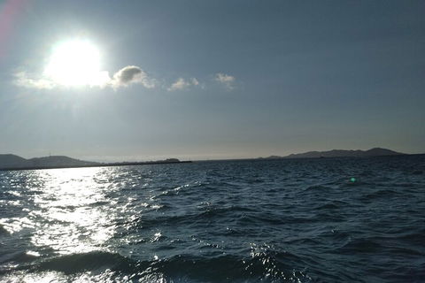 Townsville Small Group Early Morning Sailing Cruise Boat Tour Charter Hire - Accommodation Coffs Harbour 4