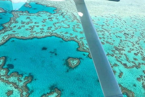 Whitsunday Islands 1-Hour Reef Scenic Helicopter Tour - Accommodation Coffs Harbour 3