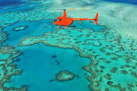 Whitehaven Heli Tour - Accommodation Coffs Harbour 3