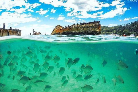 Adventure Moreton Island Day Pass - Accommodation Coffs Harbour 4