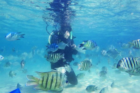 Adventure Moreton Island Scuba Dive Tour - Accommodation Coffs Harbour 1