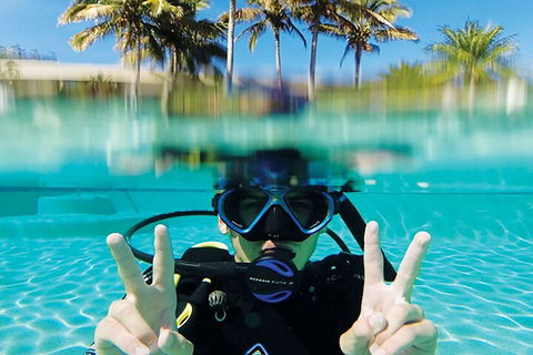 Adventure Moreton Island Scuba Dive Tour - Accommodation Coffs Harbour 2