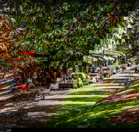 Fully Inclusive Blue Mountains Private Tour inc Scenic World  Featherdale entry - Accommodation Coffs Harbour