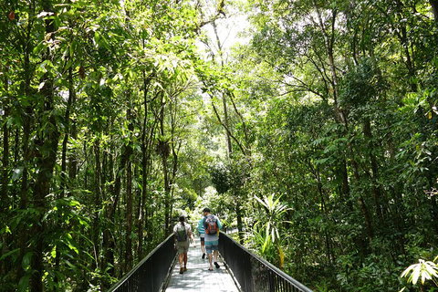 Daintree Dreaming Traditional Aboriginal Fishing From Cairns Or Port Douglas - Accommodation Coffs Harbour 3