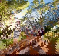 Uluru Small Group Tour including Sunset - Accommodation Coffs Harbour