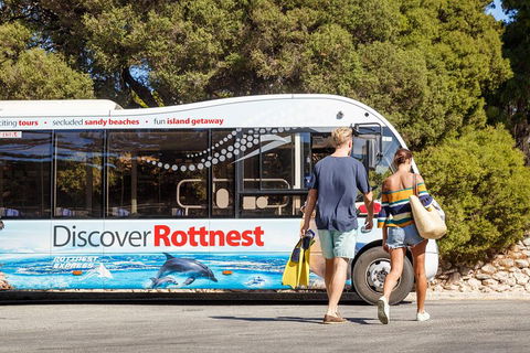 Discover Rottnest With Ferry & Bus Tour From Perth Or Fremantle - Accommodation Coffs Harbour 1