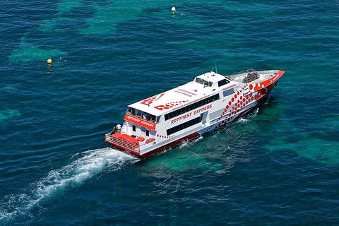 Discover Rottnest With Ferry & Bus Tour From Perth Or Fremantle - Accommodation Coffs Harbour 3