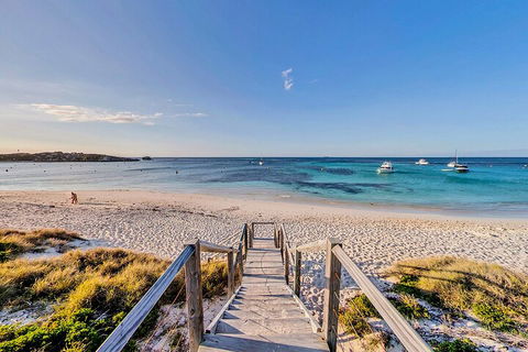 Discover Rottnest With Ferry & Bus Tour From Perth Or Fremantle - Accommodation Coffs Harbour 4