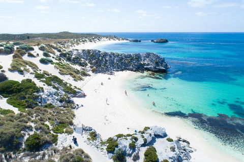 Discover Rottnest With Ferry & Bus Tour From Perth Or Fremantle - Accommodation Coffs Harbour 5