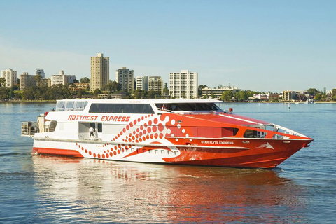 Rottnest Island Round-Trip Ferry From Perth Or Fremantle - Accommodation Coffs Harbour 5