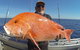 Full Day Fishing Charter - thumb 1
