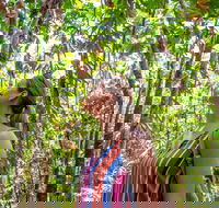 5 Day Australia Retreat Queensland Daintree - Accommodation Coffs Harbour