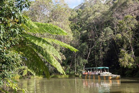 Best Of Kuranda Including Skyrail, Kuranda Scenic Railway And Rainforestation - Accommodation Coffs Harbour 5
