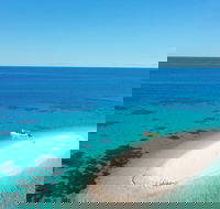 Ocean Safari Great Barrier Reef Experience in Cape Tribulation - Accommodation Coffs Harbour