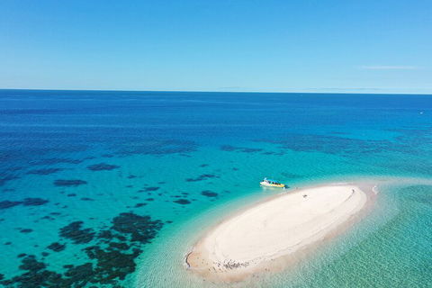 Ocean Safari Great Barrier Reef Experience In Cape Tribulation - Accommodation Coffs Harbour 0
