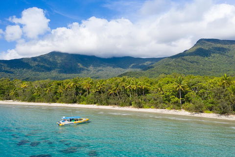 Ocean Safari Great Barrier Reef Experience In Cape Tribulation - Accommodation Coffs Harbour 2