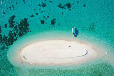 Ocean Safari Great Barrier Reef Experience In Cape Tribulation - Accommodation Coffs Harbour 3