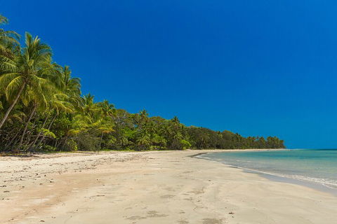 Ocean Safari Great Barrier Reef Experience In Cape Tribulation - Accommodation Coffs Harbour 4