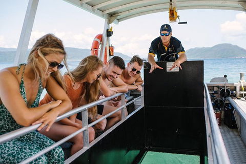 Fitzroy Island Day Trip From Cairns - Accommodation Coffs Harbour 4