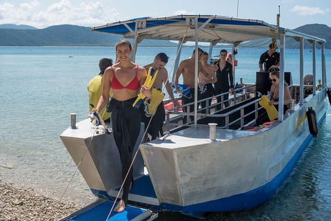 Fitzroy Island Day Trip From Cairns - Accommodation Coffs Harbour 5