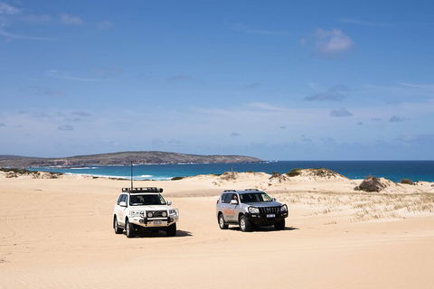 3 Day Port Lincoln And Coffin Bay Private Tour - Accommodation Coffs Harbour 0