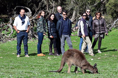 2-Day Kangaroo Island 4WD Small-Group Tour From Adelaide - Accommodation Coffs Harbour 1