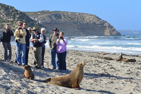 2-Day Kangaroo Island 4WD Small-Group Tour From Adelaide - Accommodation Coffs Harbour 3