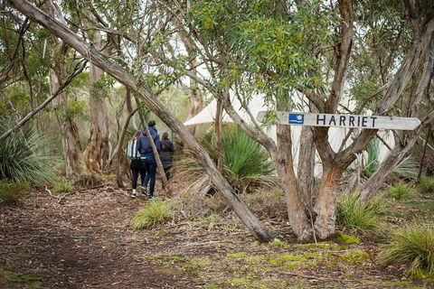 2-Day Kangaroo Island 4WD Small-Group Tour From Adelaide - Accommodation Coffs Harbour 5