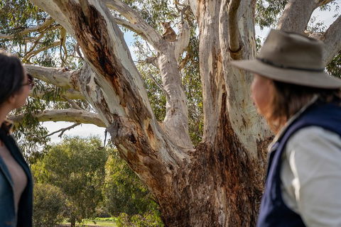 NEW TOUR - Kangaroo Island Road To Recovery Tour (1 Day/1 Night) - Accommodation Coffs Harbour 0