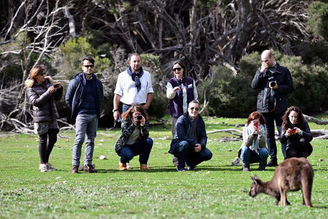 Small-Group Kangaroo Island 4WD Tour From Adelaide - Accommodation Coffs Harbour 2