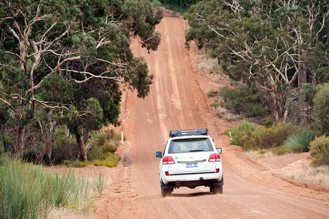 Small-Group Kangaroo Island 4WD Tour From Adelaide - Accommodation Coffs Harbour 3