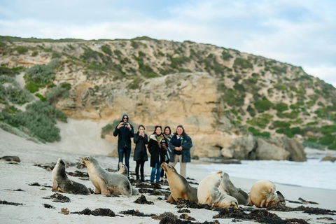 Small-Group Kangaroo Island 4WD Tour From Adelaide - Accommodation Coffs Harbour 4