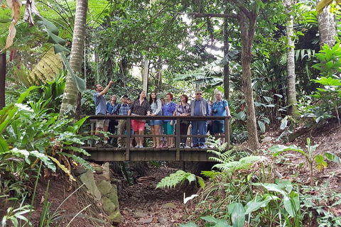 Cairns Shore Excursion: Cairns City Sights & Surrounds Tour - Accommodation Coffs Harbour 1
