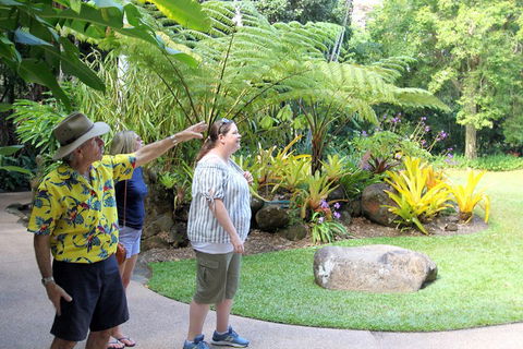 Cairns Shore Excursion: Cairns City Sights & Surrounds Tour - Accommodation Coffs Harbour 4