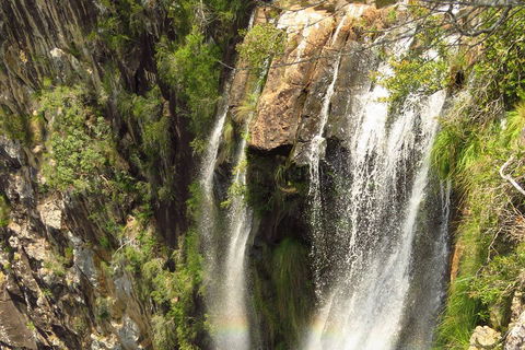 Beyond Byron Hinterland Tour - Accommodation Coffs Harbour 5