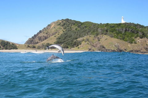 Kayaking With Dolphins In Byron Bay Guided Tour - Accommodation Coffs Harbour 0