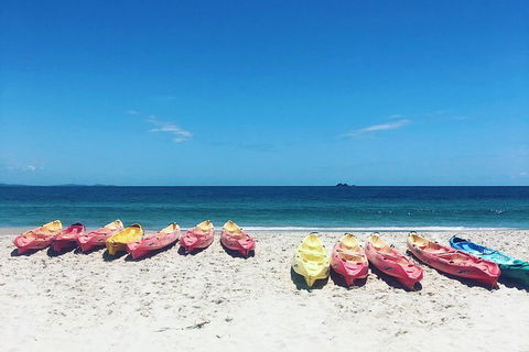 Kayaking With Dolphins In Byron Bay Guided Tour - Accommodation Coffs Harbour 1