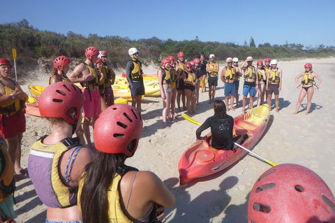 Kayaking With Dolphins In Byron Bay Guided Tour - Accommodation Coffs Harbour 2