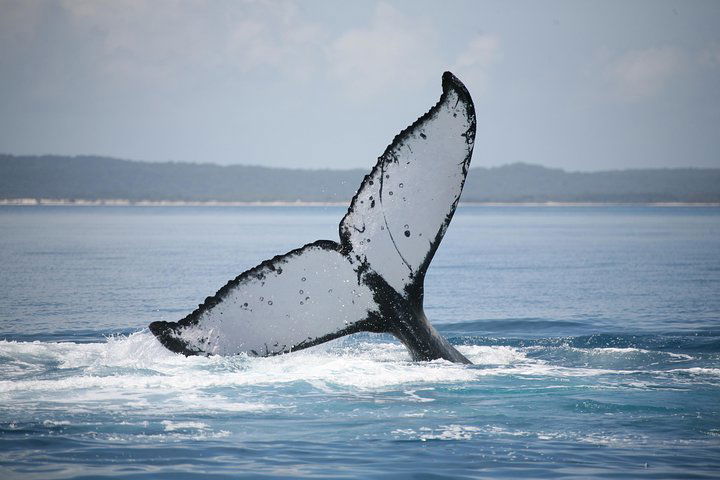 Hervey Bay QLD Accommodation Coffs Harbour