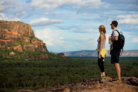 Kakadu National Park Wildlife And Ubirr Rock Art Tour From Darwin City - Accommodation Coffs Harbour 3