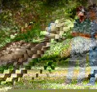 Great Ocean Road 2 Day Highlights Tour and sunset 12 Apostles