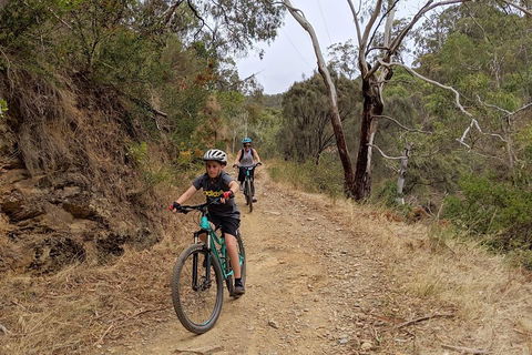 Mount Lofty Descent Bike Tour From Adelaide - Accommodation Coffs Harbour 0