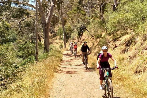 Mount Lofty Descent Bike Tour From Adelaide - Accommodation Coffs Harbour 3