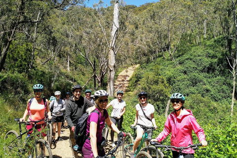 Mount Lofty Descent Bike Tour From Adelaide - Accommodation Coffs Harbour 5