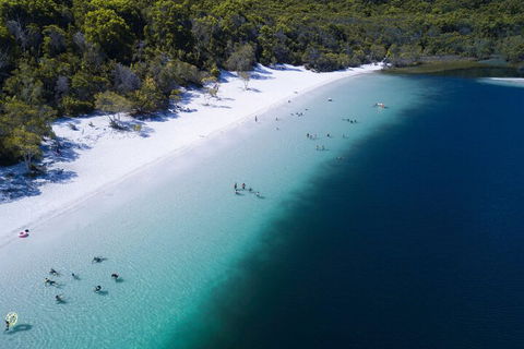 All-Inclusive Fraser Island Day Tour - Accommodation Coffs Harbour 0