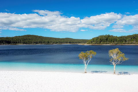 All-Inclusive Fraser Island Day Tour - Accommodation Coffs Harbour 3