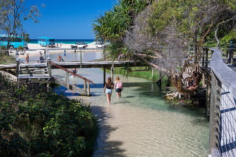 All-Inclusive Fraser Island Day Tour - Accommodation Coffs Harbour 4